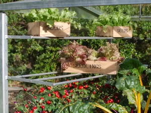 Access Seed Tray Shelves