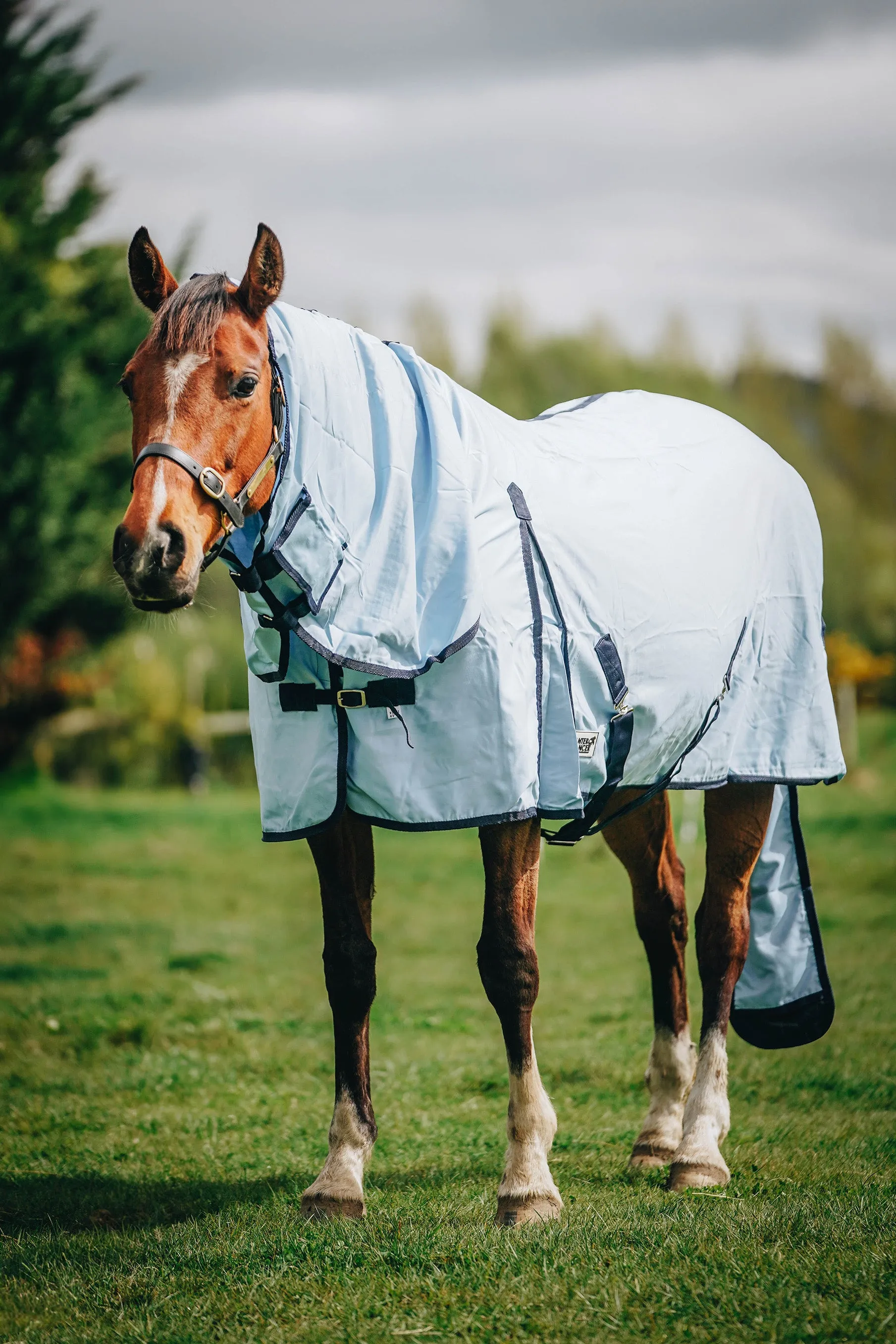 Baby Blue Combo with Tail Bag NZ 4.3