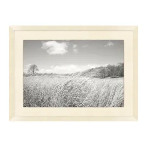 Windy Grasses